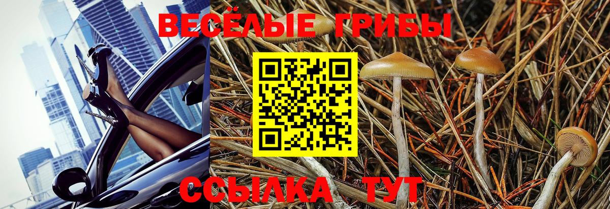 Галлюциногенные грибы ЛСД  Псилоцибиновые грибы Psilocybine cubensis  Орехово-Зуево  наркошоп  Вход с VPN 